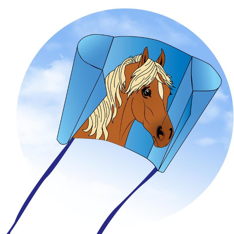 HQ Kites Pocket Kite - Image 16